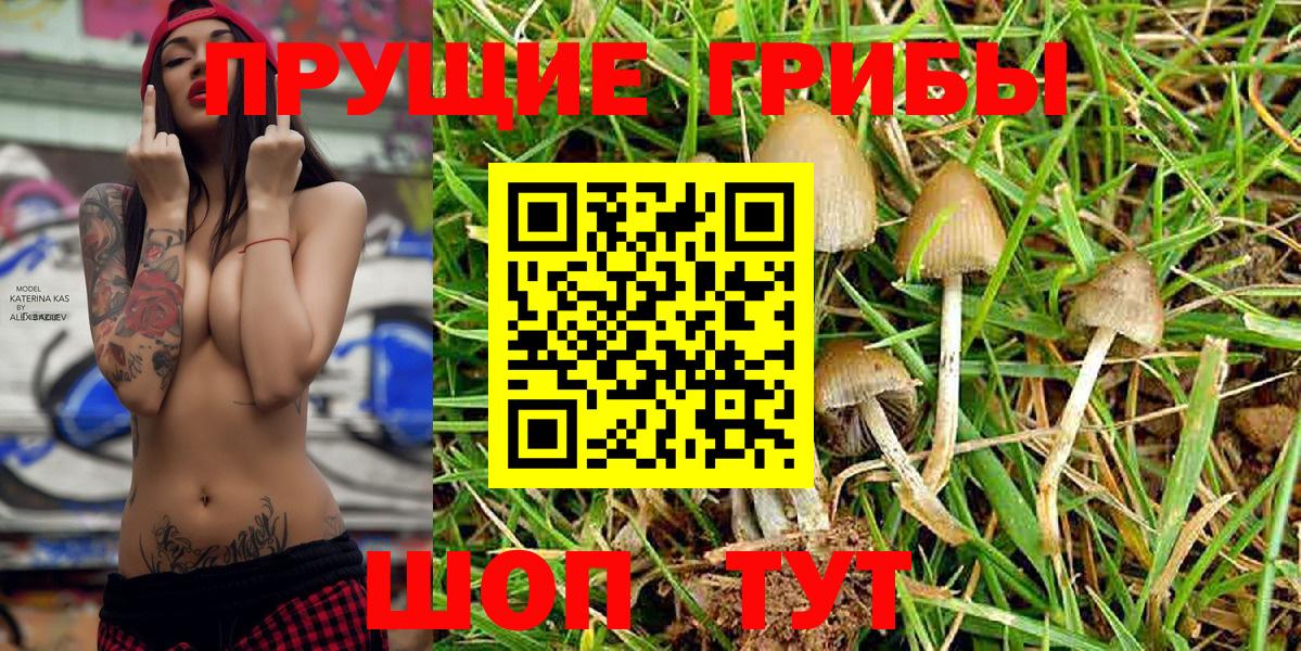 Сертолово  Псилоцибиновые грибы Cubensis  Вход с VPN  Галлюциногенные грибы Magic Shrooms 